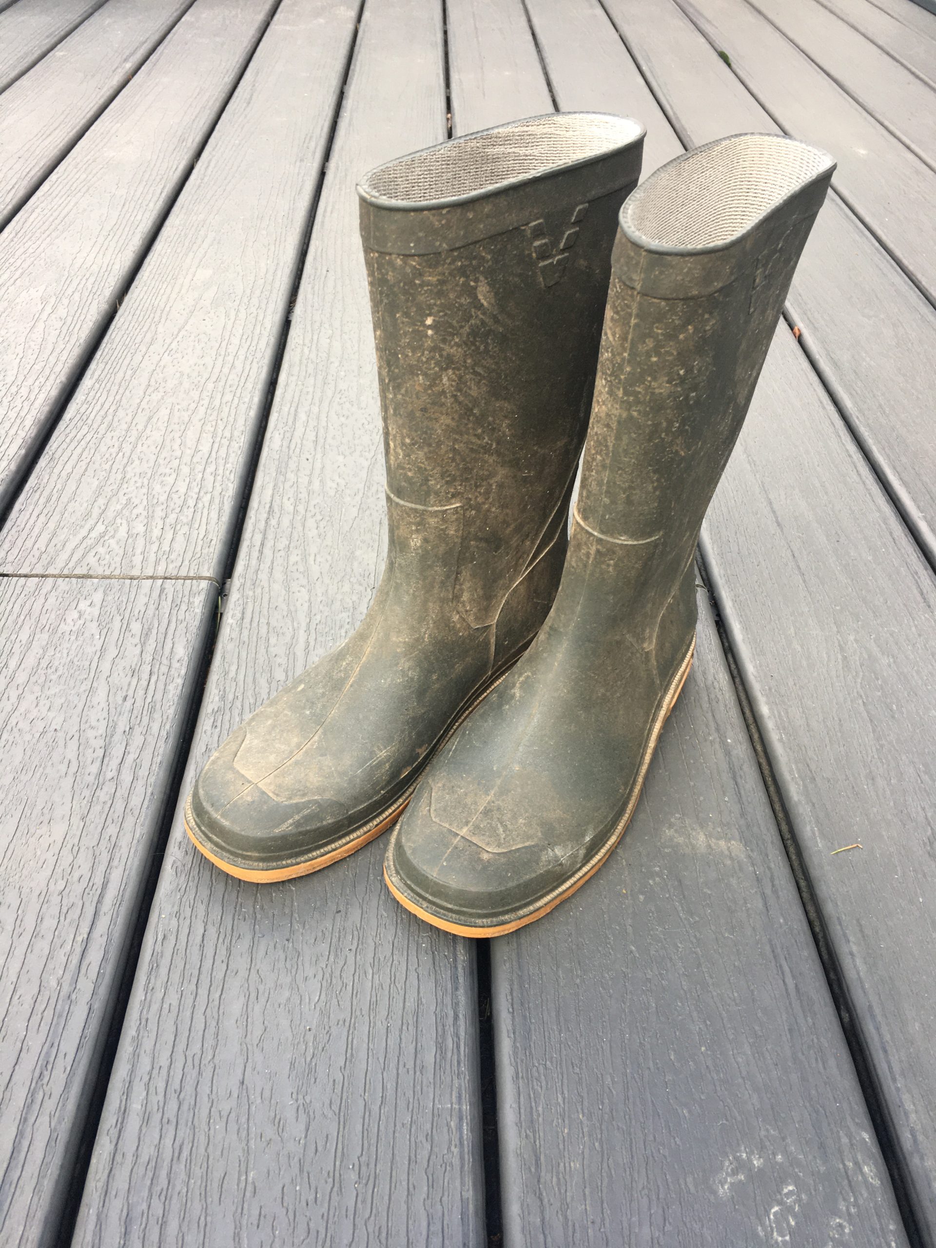My garden boots