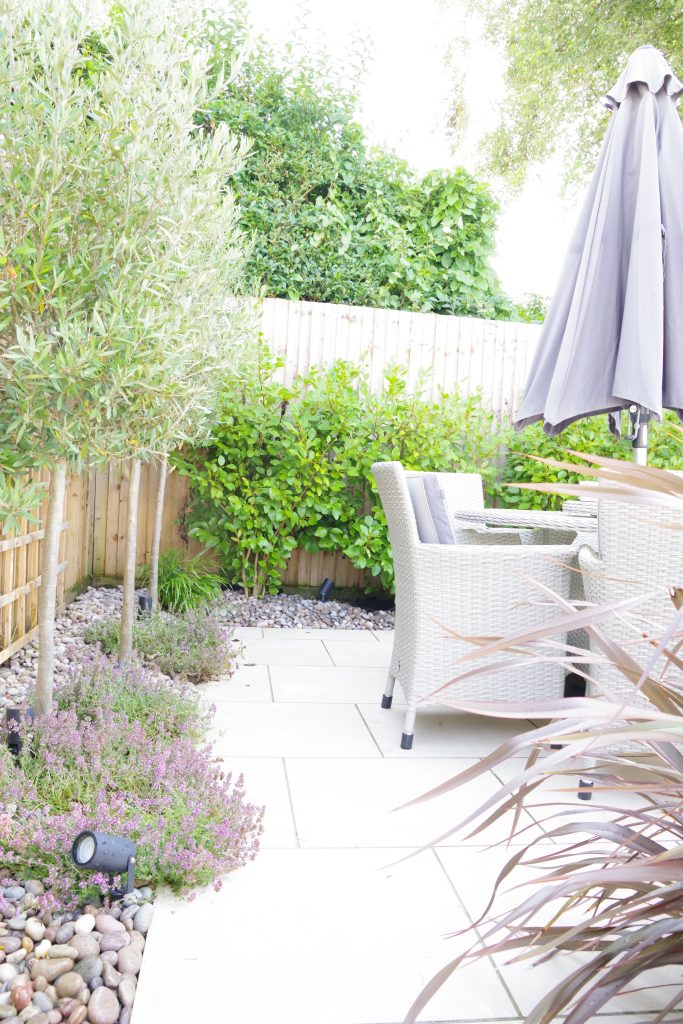 Studio Hummingbird | Garden Style Quiz Seats under olive trees on a pale stone terrace, Ferring