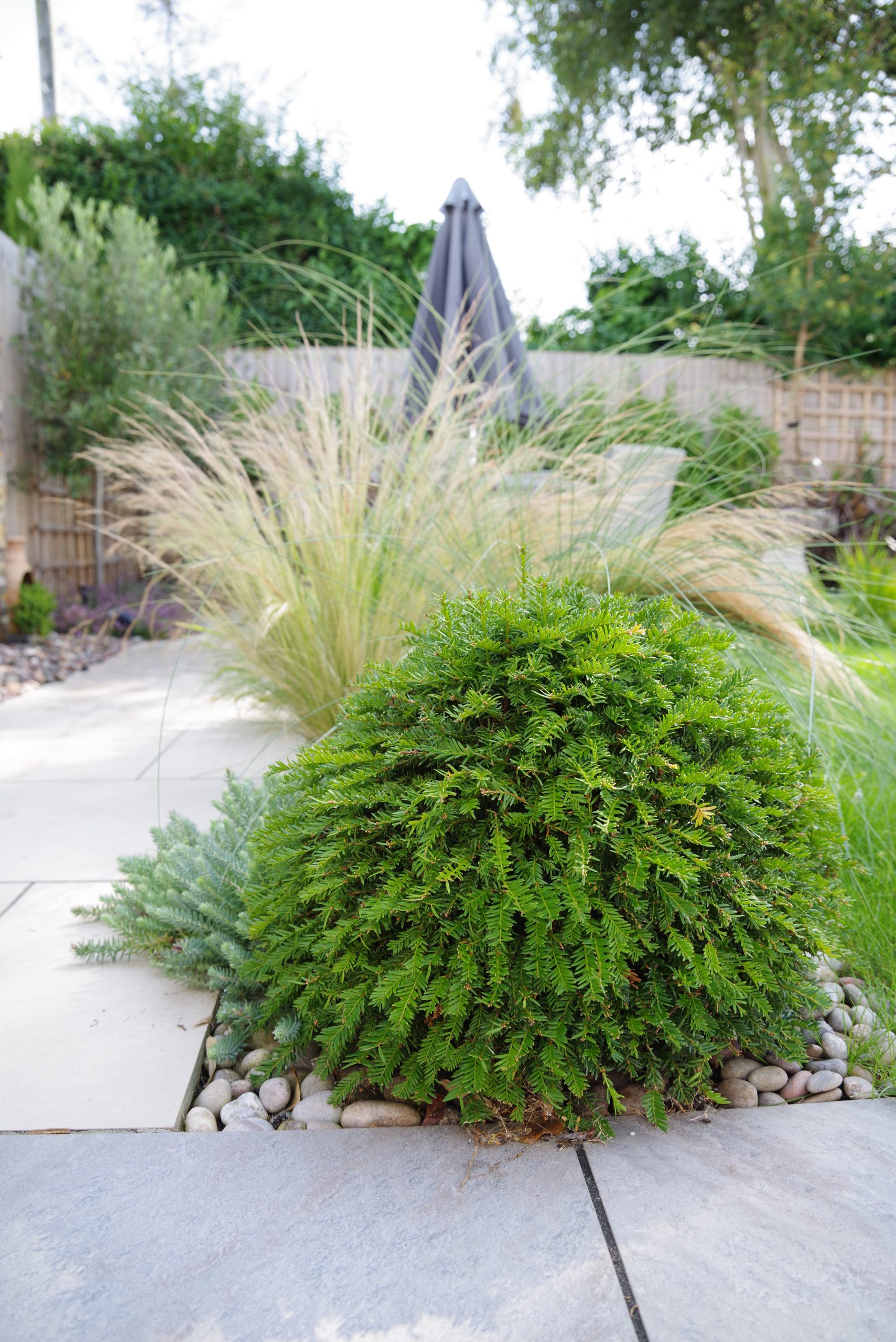 Studio Hummingbird | Project Ferring Coastal garden path — Ferring