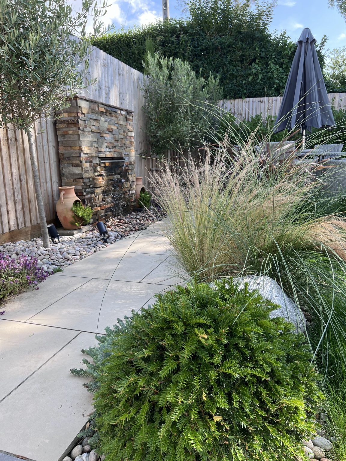 Studio Hummingbird | Project Ferring Grasses in a coastal garden.
