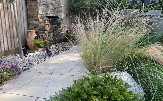 Grasses in a coastal garden.