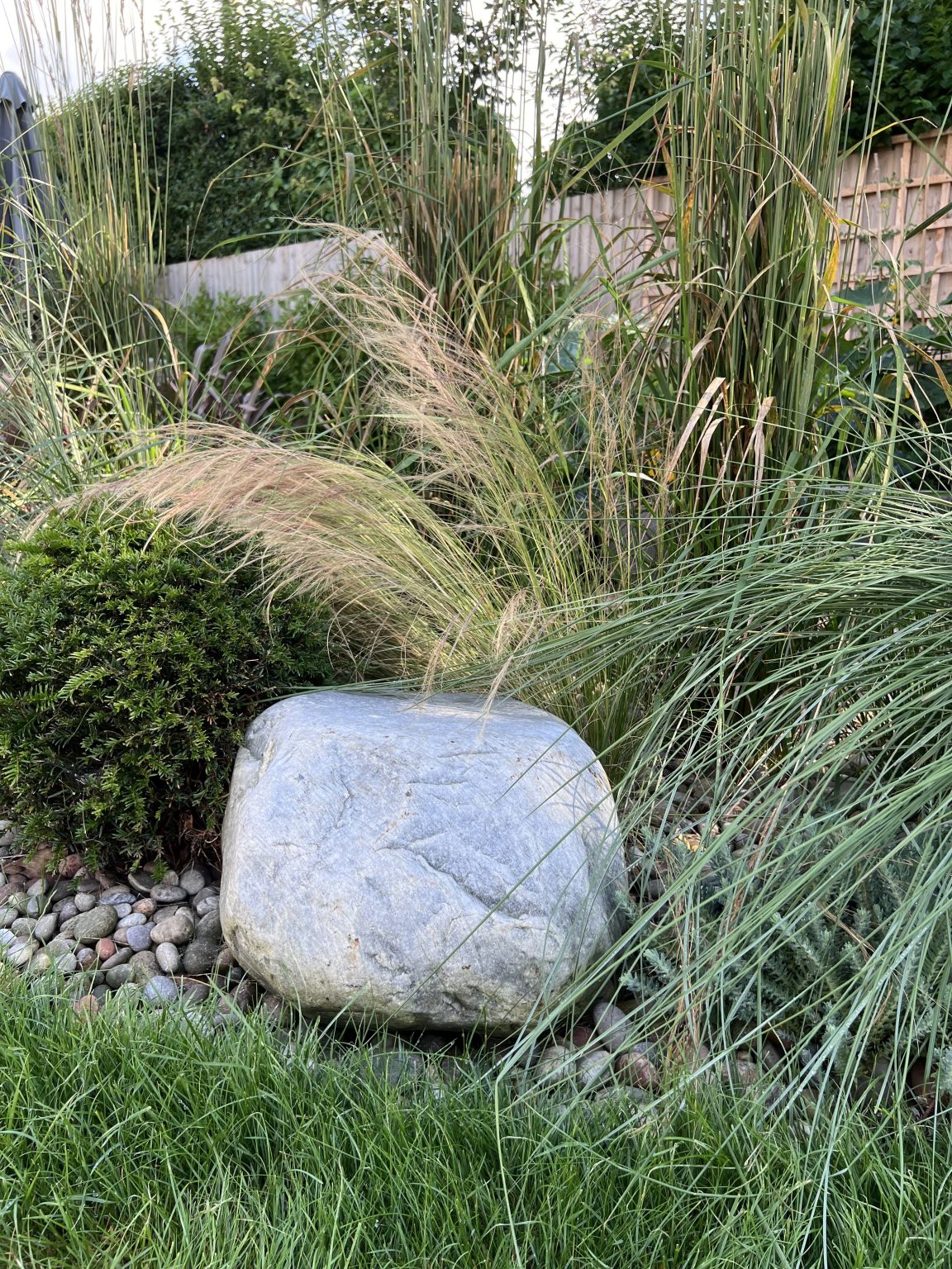 Studio Hummingbird | Project Ferring A smooth rock in coastal planting.