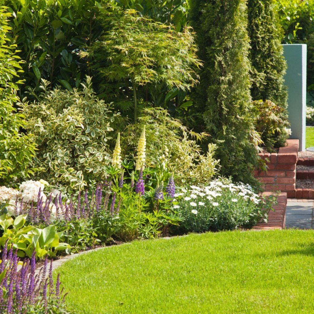 Untitled design (11) Curved planting bed with lupins and irises.