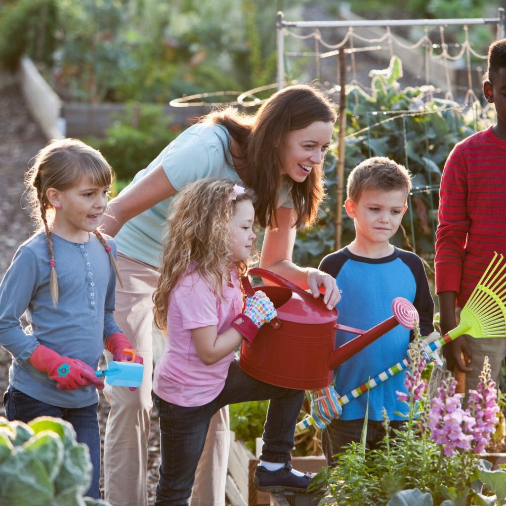 Copy of Copy of Copy of Copy of summer offer-consultations (3) How to involve children in gardening tasks by watering vegetables with a watering can.