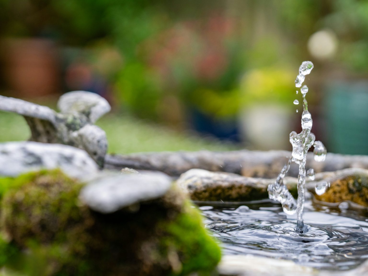 A garden inspired by Feng Shui, Water dripping in a water bowl in a garden