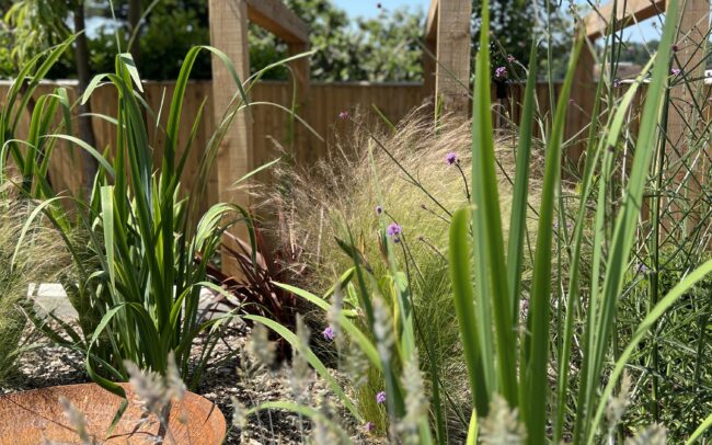 Mindful garden in Tangmere