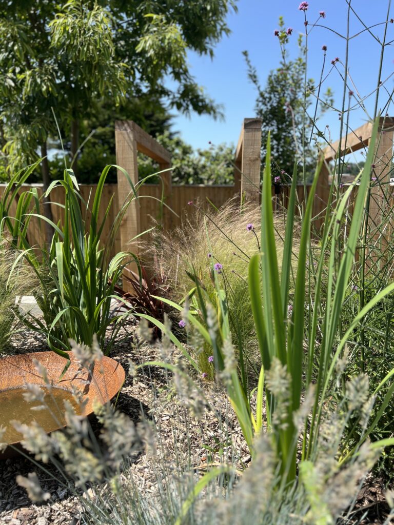 Mindful garden in Tangmere