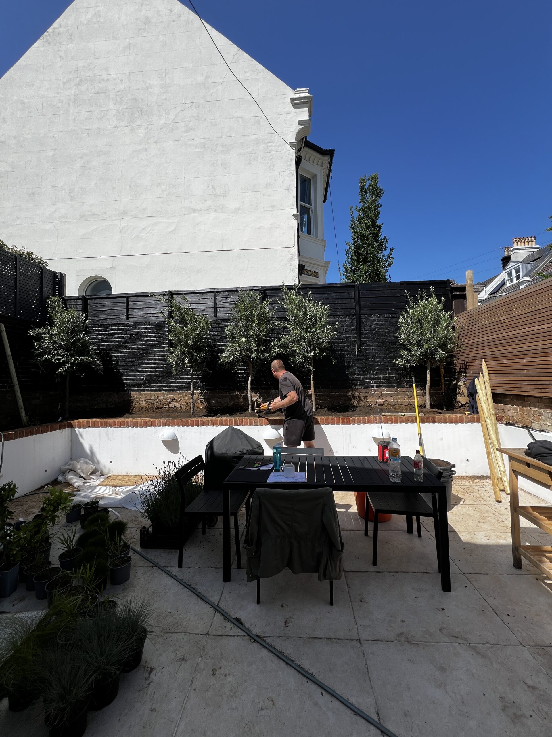 Studio Hummingbird | Courtyard Planting in Hove Courtyard garden — Hove