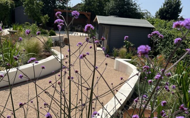 Studio Hummingbird | Garden Design Worthing A sloped garden with selfbinding gravel path and Verbena plants.