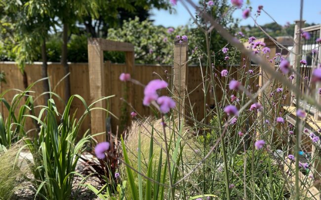 gardening for work-life balance