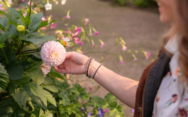 Dhalia's in garden with garden designer Chichester