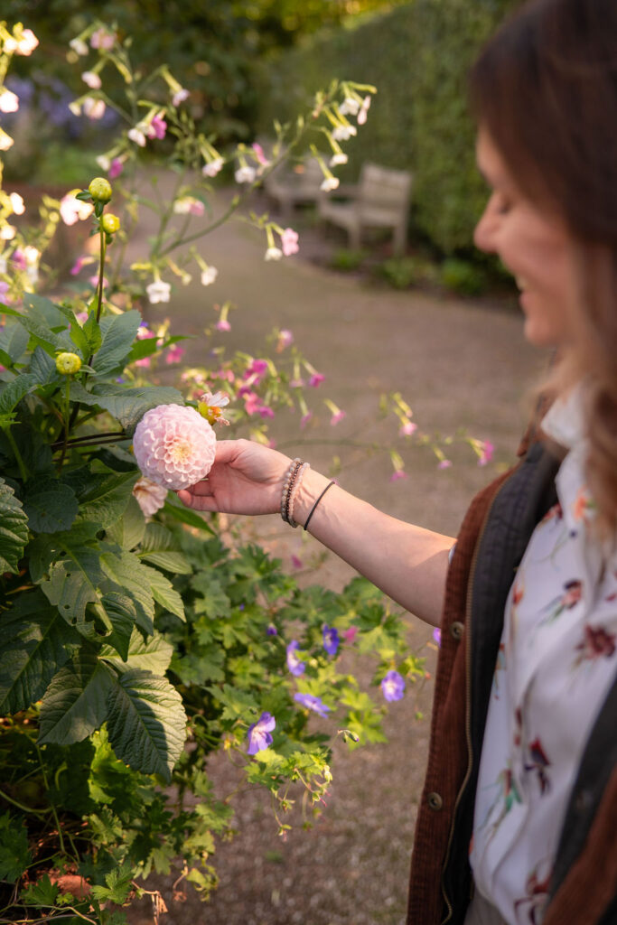 Dhalia's in garden with garden designer Chichester