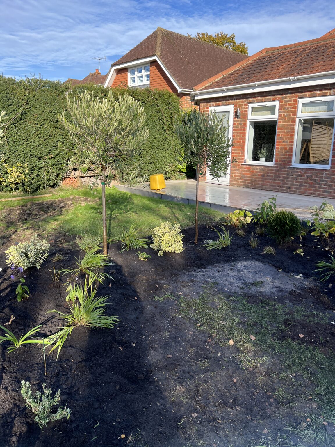 Studio Hummingbird | Planting Project Southwater Garden project in Horsham