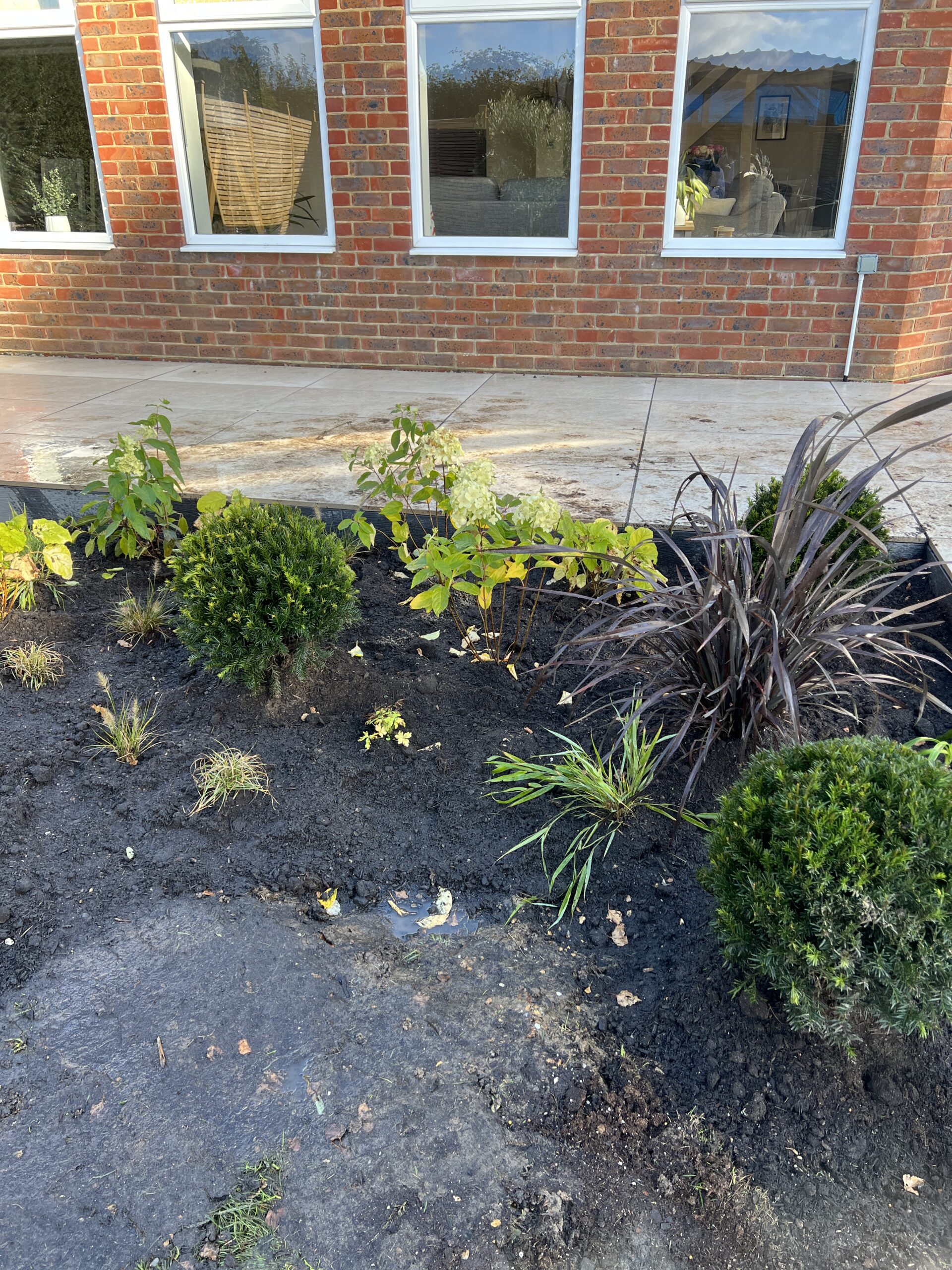 Studio Hummingbird | Planting Project Southwater Garden border — Southwater