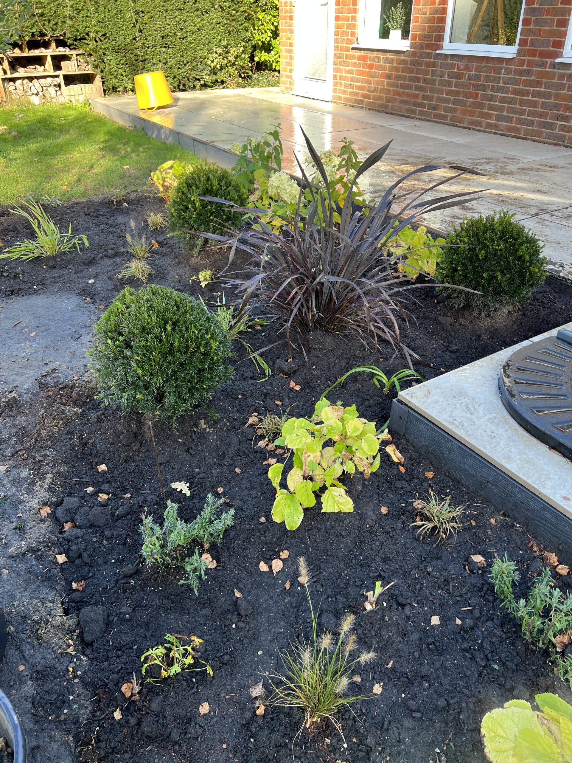 Studio Hummingbird | Planting Project Southwater Mediterranean planting scheme — Southwater