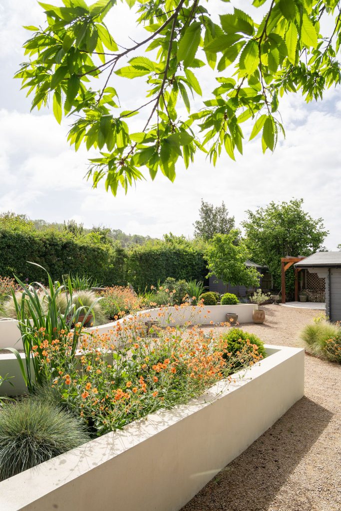 Studio Hummingbird | Garden Clarity Visit